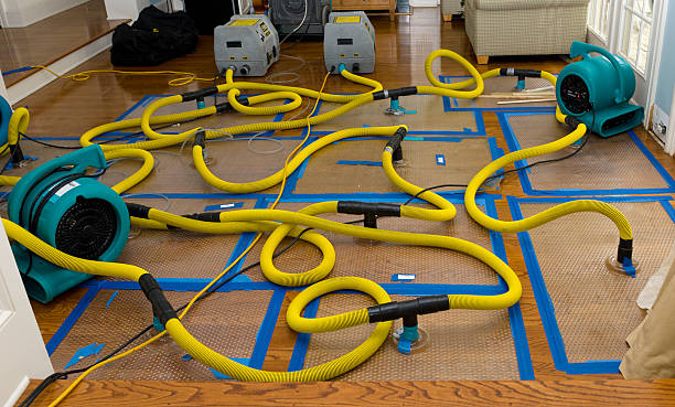 Professional Basement Flood Cleanup technician working in Saint Peter, MN
